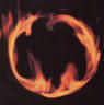 A Circle in the Fire ou la géométrie instable de Flannery O’Connor